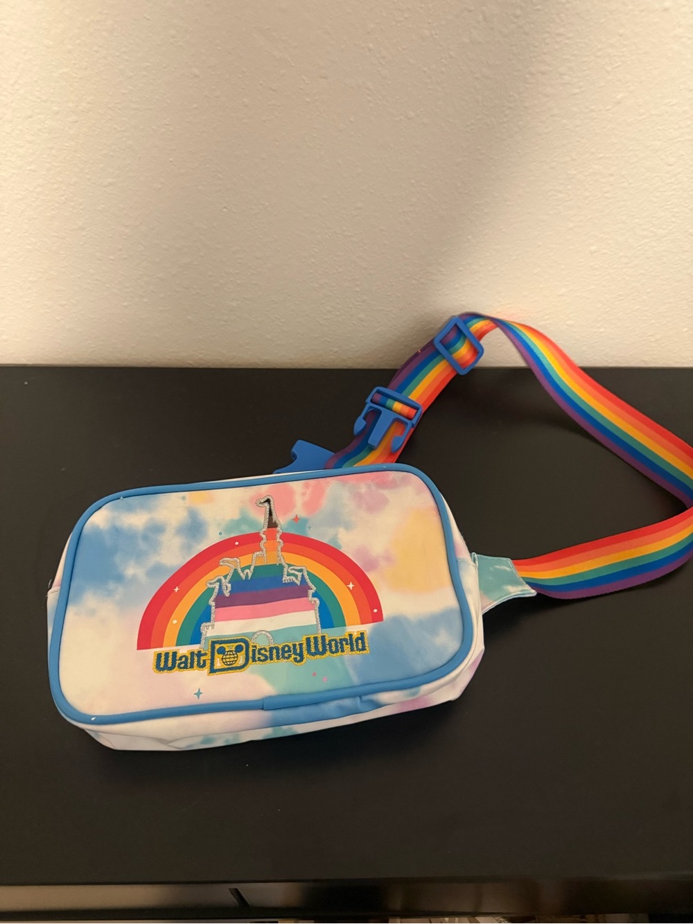 Walt Disney World Rainbow Crossbody Bag